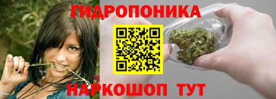 ECSTASY Ливны